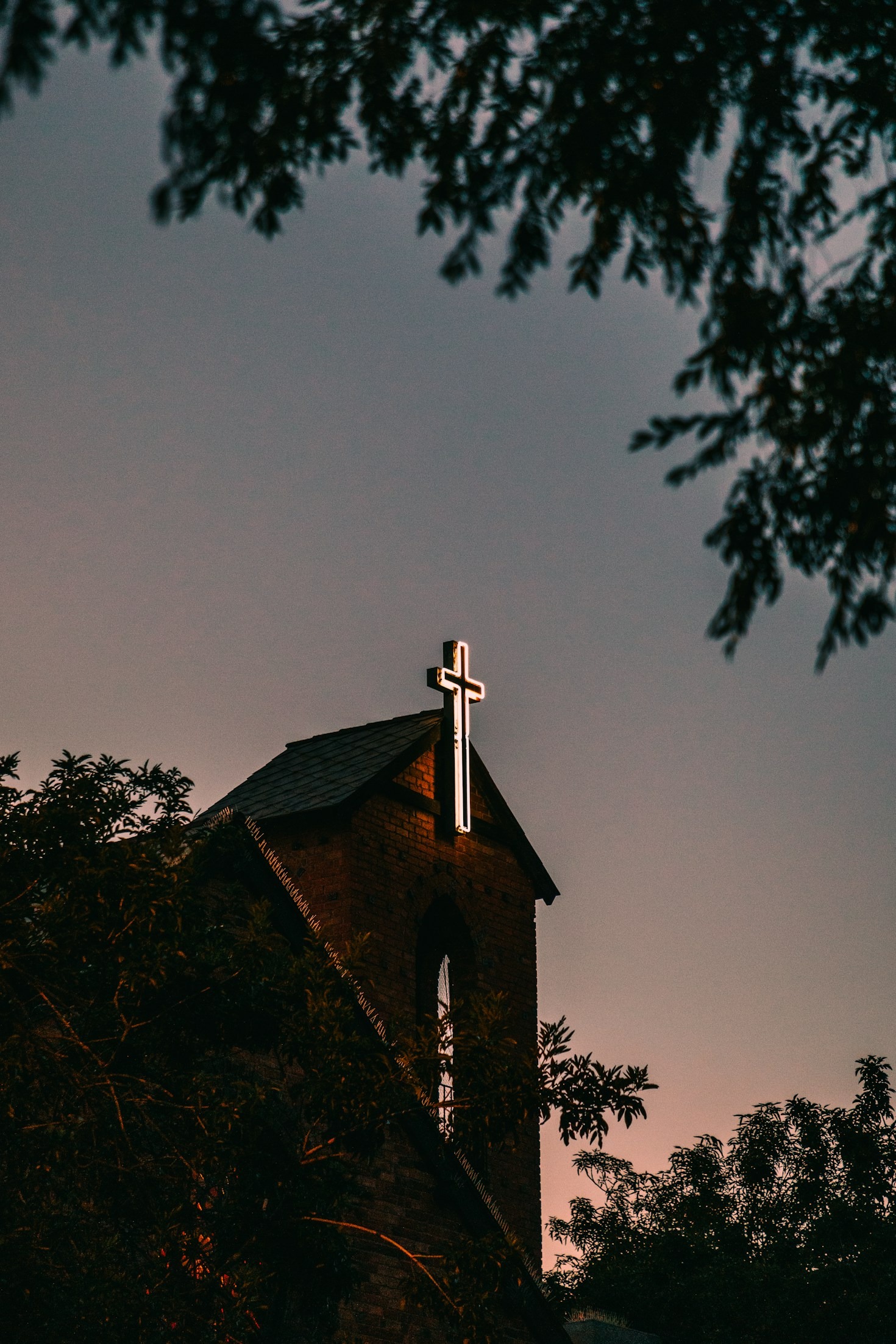 Highlights from Our Annual Church Picnic
